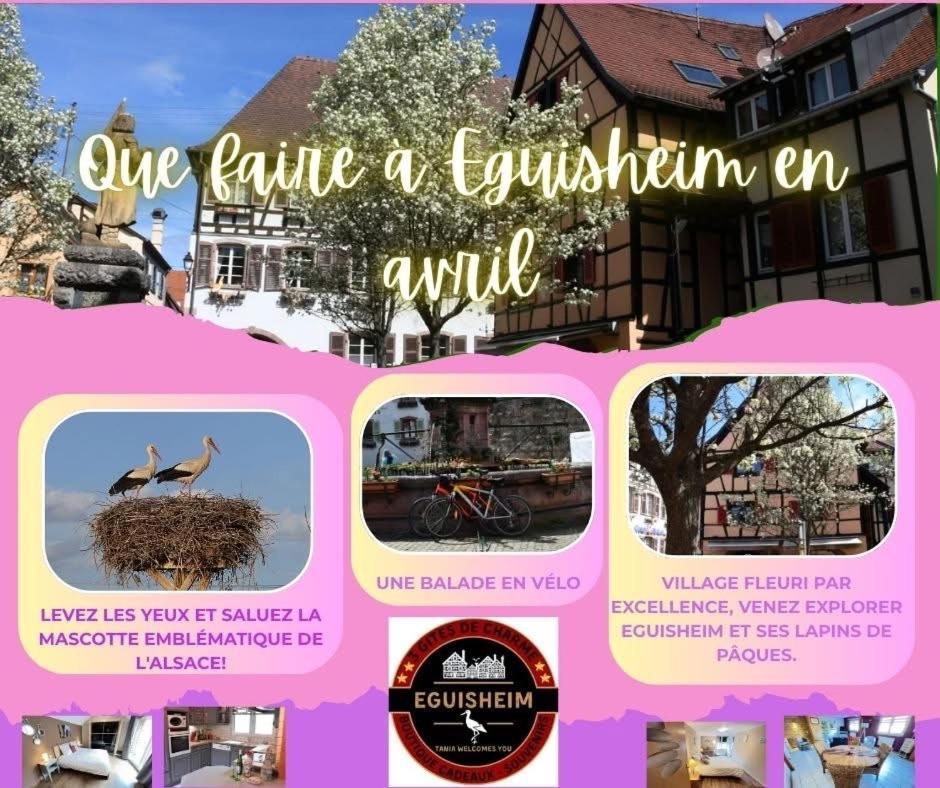 Gite Geranium*** Eguisheim Exterior foto